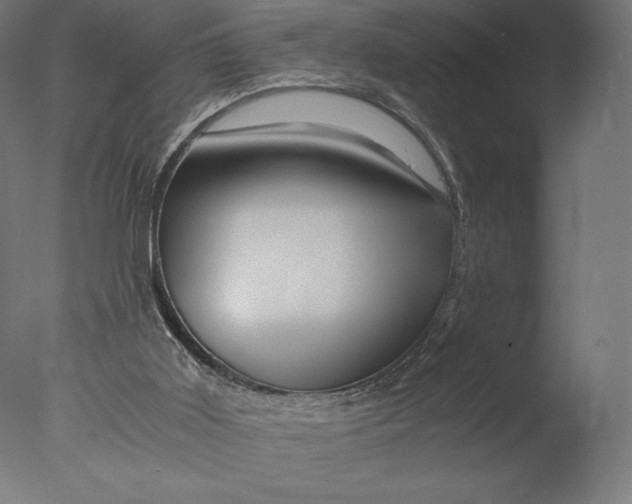 X0000076310011200610201625