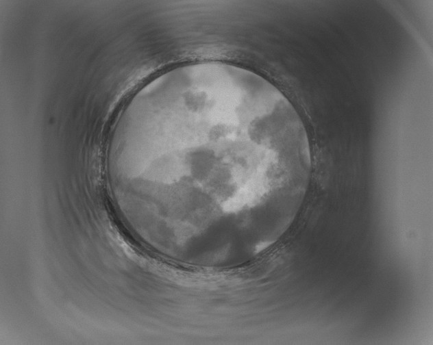 X0000076310012200610201624