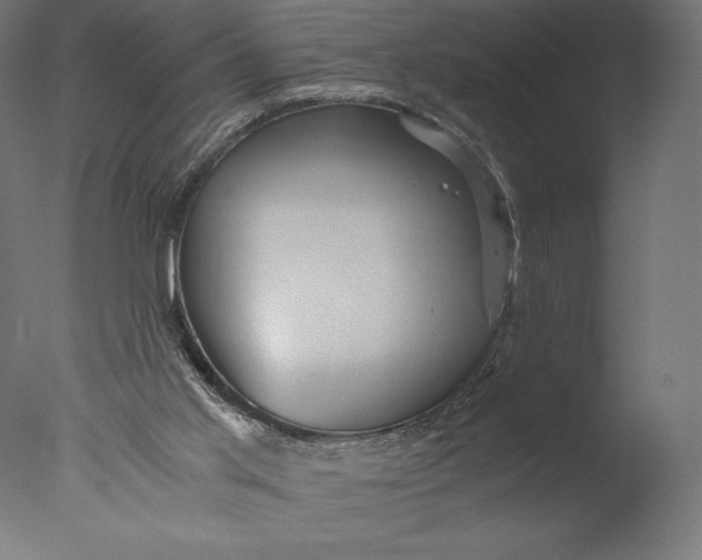 X0000076310013200610201624