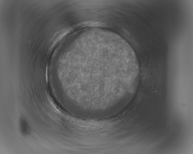 X0000076310014200610201624