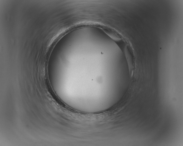 X0000076310015200610201624