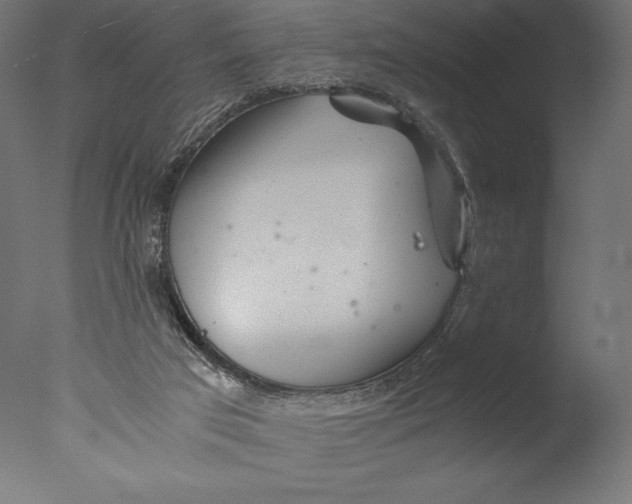 X0000076310017200610201624