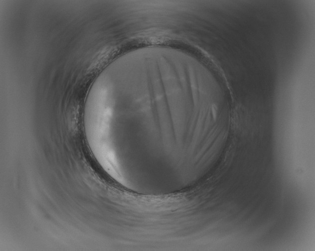 X0000076310018200610201624