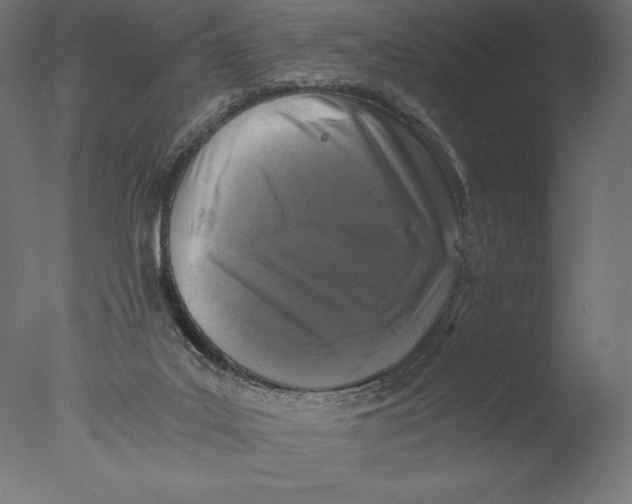 X0000076310019200610201624