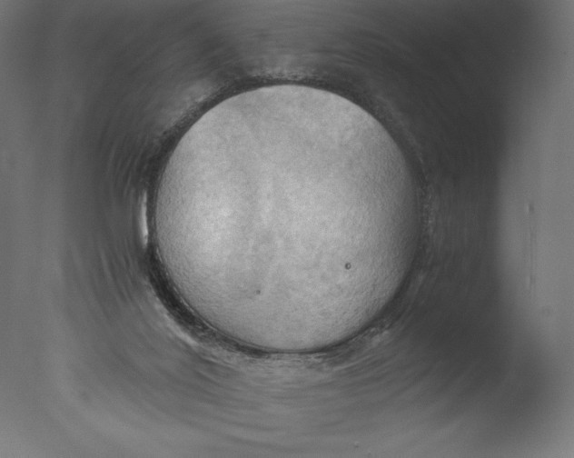 X0000076310020200610201624