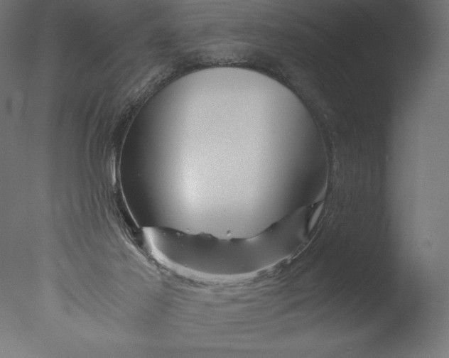 X0000076310021200610201624