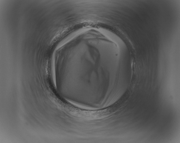 X0000076310023200610201624