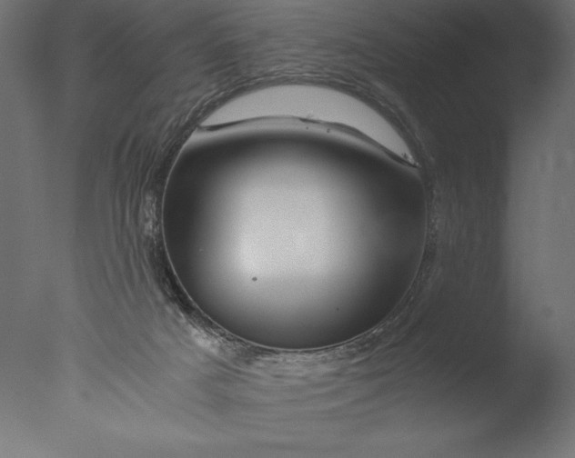 X0000076310025200610201624