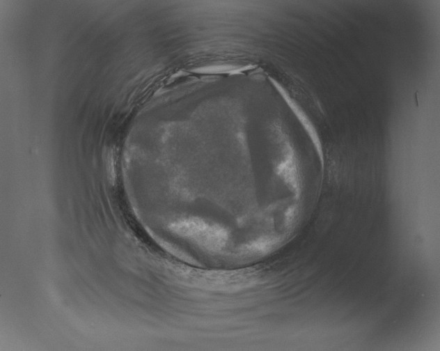 X0000076310026200610201624