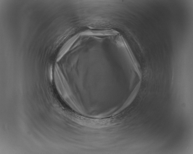 X0000076310027200610201624