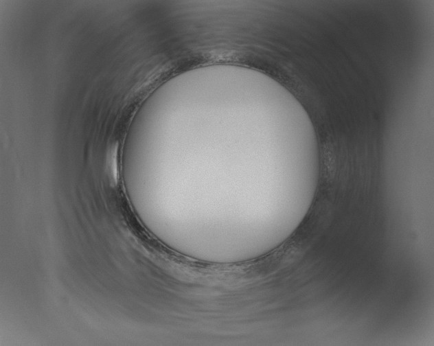 X0000076310028200610201624