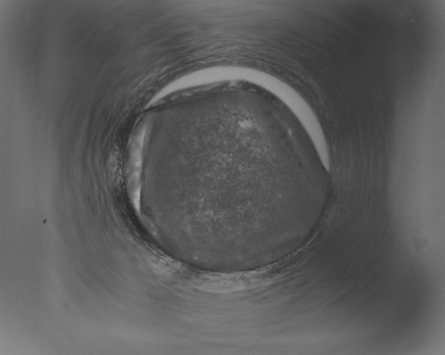 X0000076310029200610201624