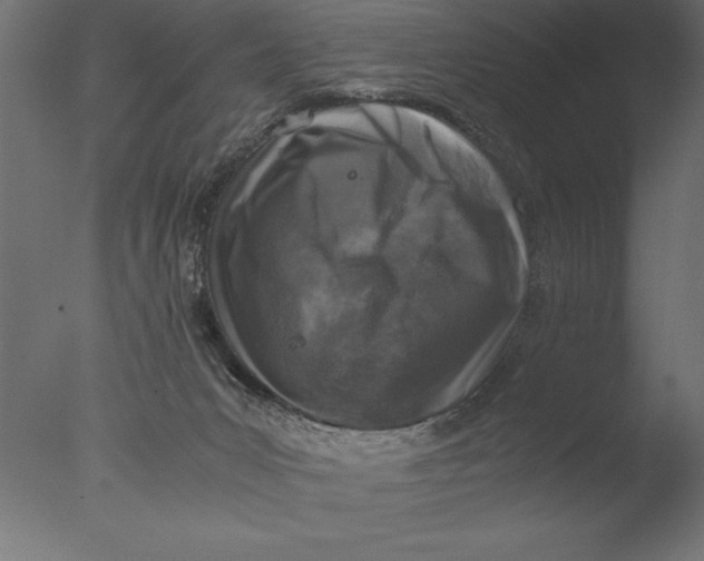 X0000076310031200610201624