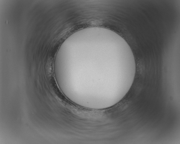 X0000076310032200610201624