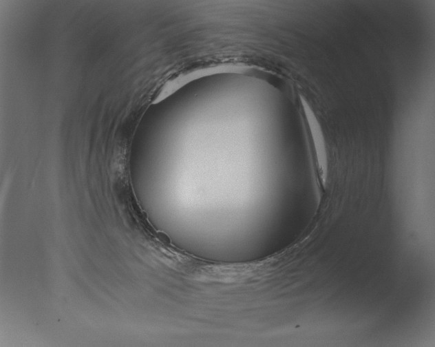 X0000076310033200610201624