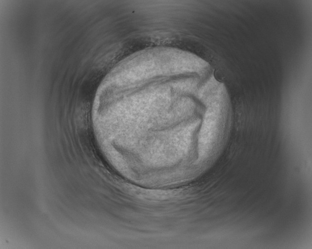 X0000076310034200610201624