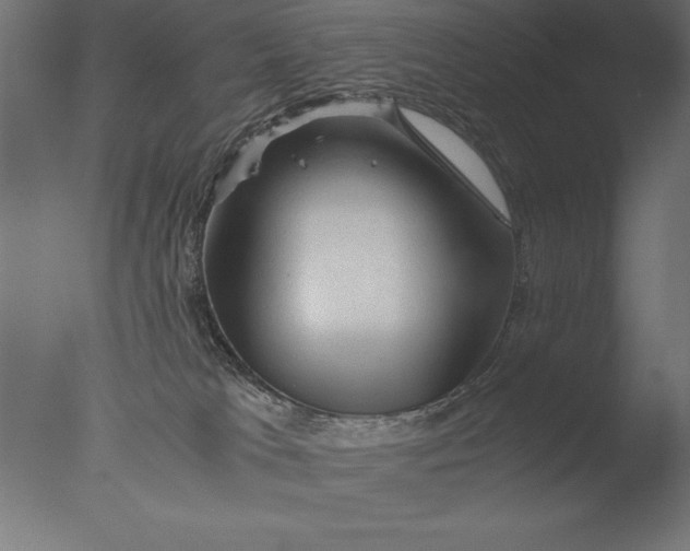 X0000076310037200610201624