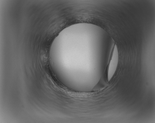 X0000076310040200610201624