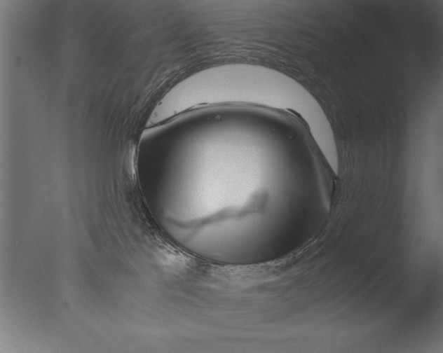 X0000076310041200610201624