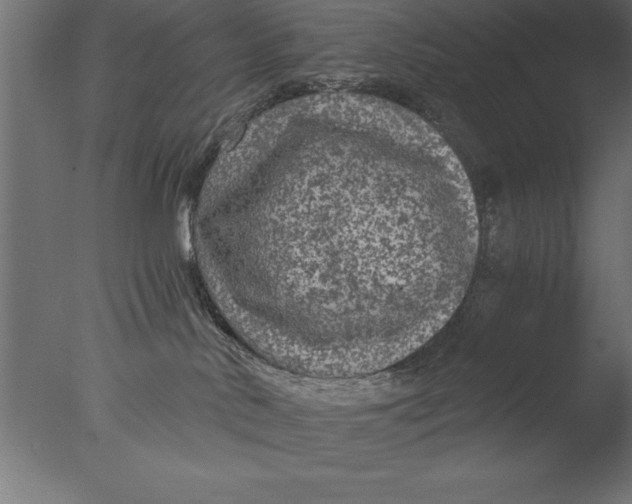 X0000076310042200610201624