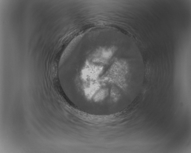 X0000076310043200610201624