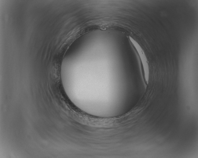 X0000076310044200610201624