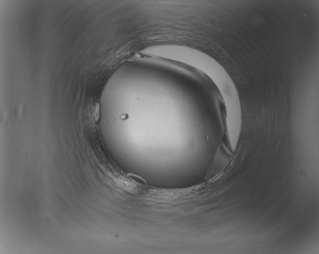 X0000076310045200610201624