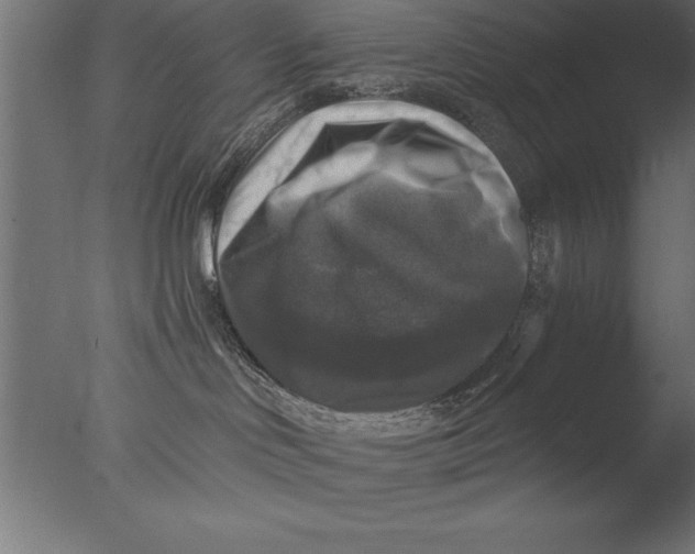 X0000076310046200610201624