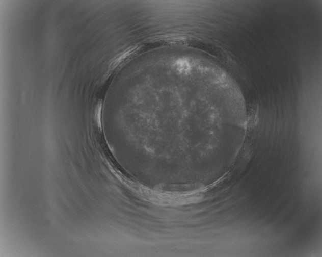 X0000076310047200610201624