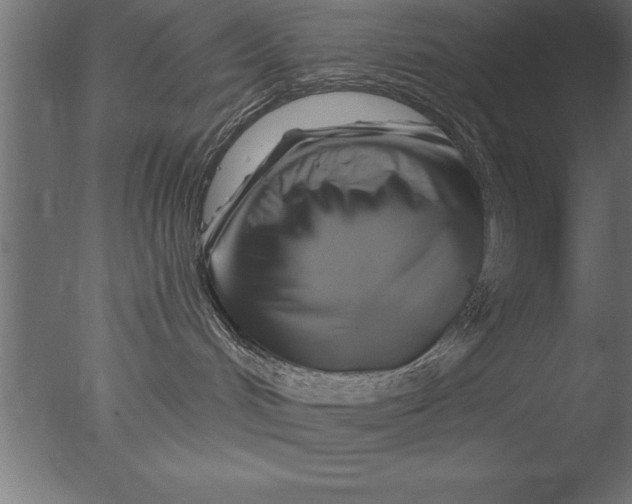 X0000076310048200610201624