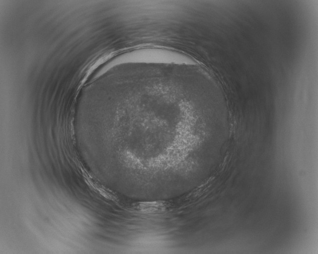 X0000076310050200610201623