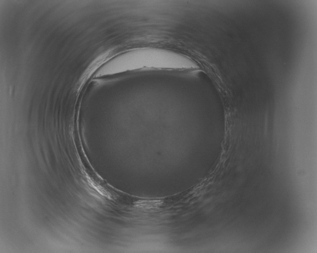 X0000076310051200610201623