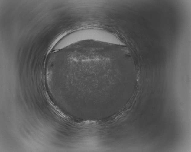 X0000076310052200610201623