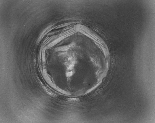 X0000076310053200610201623