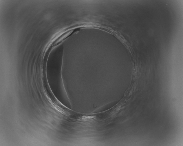 X0000076310055200610201623