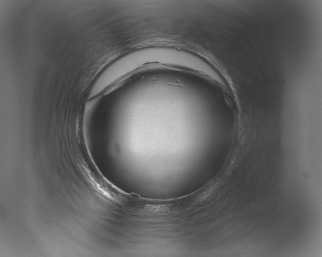 X0000076310057200610201623