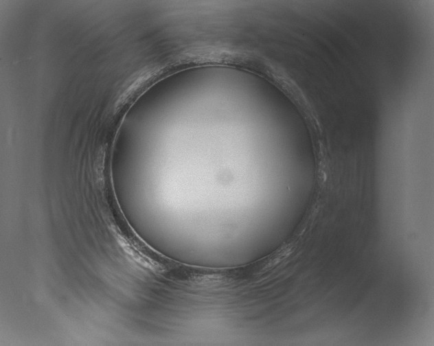 X0000076310058200610201623