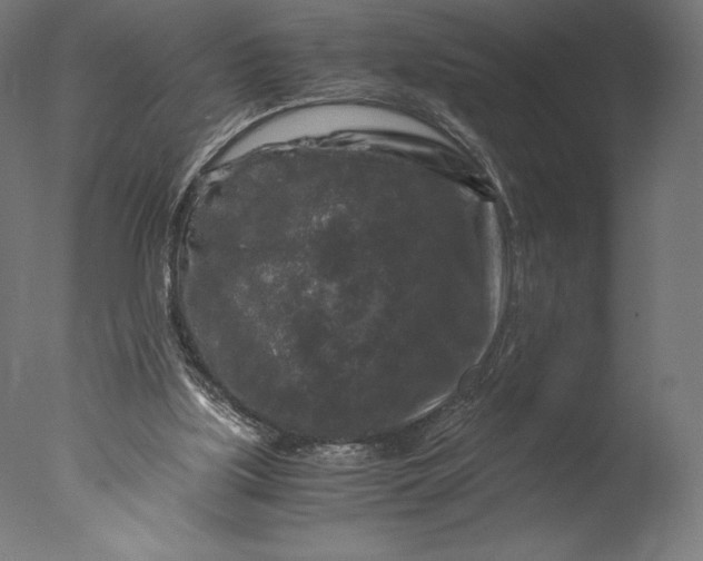 X0000076310059200610201623