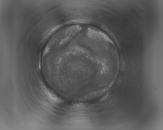 X0000076310062200610201623