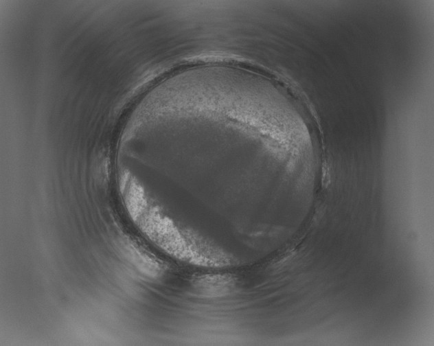 X0000076310063200610201623