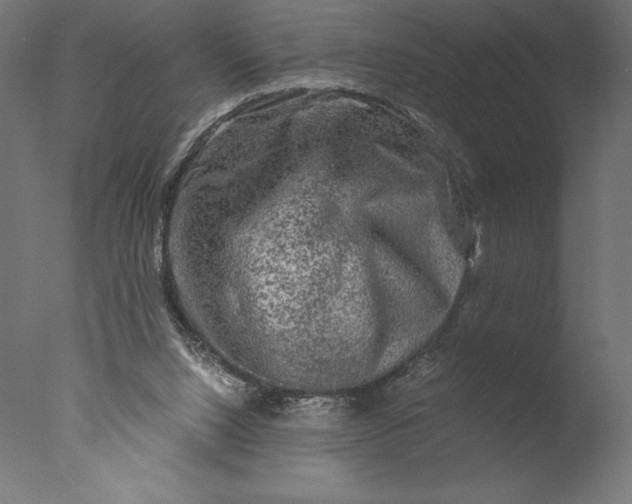 X0000076310064200610201623