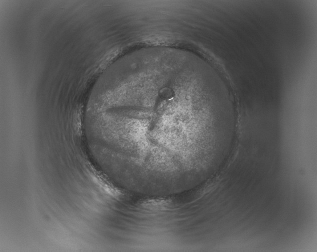 X0000076310065200610201623