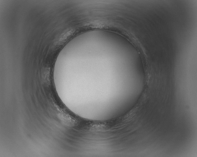 X0000076310066200610201623