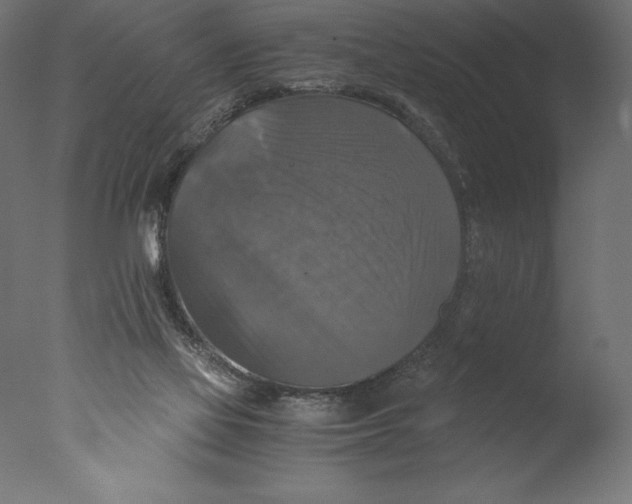 X0000076310069200610201623