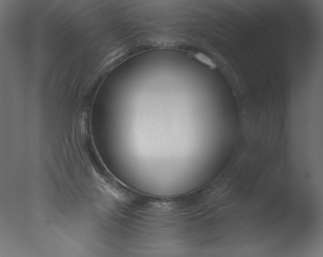 X0000076310071200610201623