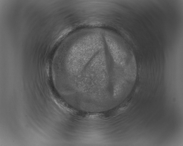 X0000076310072200610201623