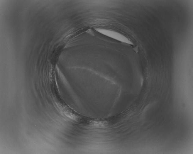 X0000076310073200610201623