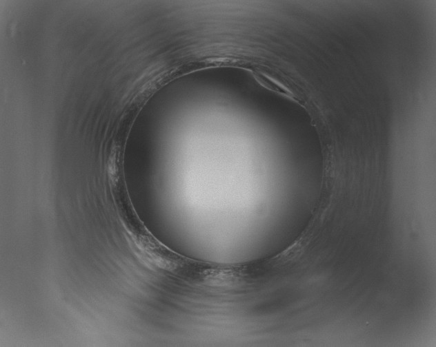 X0000076310074200610201623