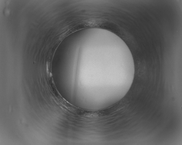 X0000076310075200610201623