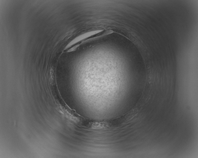 X0000076310077200610201624